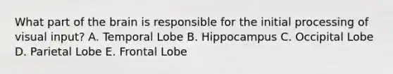 What part of the brain is responsible for the initial processing of visual input? A. Temporal Lobe B. Hippocampus C. Occipital Lobe D. Parietal Lobe E. Frontal Lobe