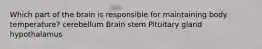 Which part of the brain is responsible for maintaining body temperature? cerebellum Brain stem Pituitary gland hypothalamus