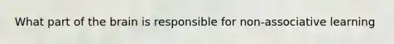 What part of the brain is responsible for non-associative learning