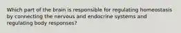 Which part of the brain is responsible for regulating homeostasis by connecting the nervous and endocrine systems and regulating body responses?