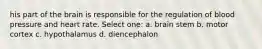 his part of the brain is responsible for the regulation of blood pressure and heart rate. Select one: a. brain stem b. motor cortex c. hypothalamus d. diencephalon