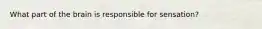 What part of the brain is responsible for sensation?