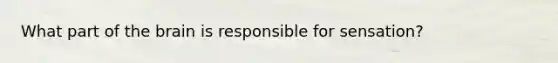 What part of the brain is responsible for sensation?