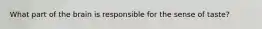 What part of the brain is responsible for the sense of taste?