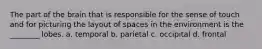 The part of the brain that is responsible for the sense of touch and for picturing the layout of spaces in the environment is the ________ lobes. a. temporal b. parietal c. occipital d. frontal