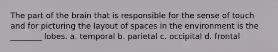 The part of the brain that is responsible for the sense of touch and for picturing the layout of spaces in the environment is the ________ lobes. a. temporal b. parietal c. occipital d. frontal