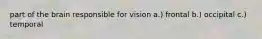 part of the brain responsible for vision a.) frontal b.) occipital c.) temporal