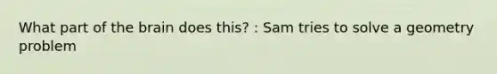 What part of the brain does this? : Sam tries to solve a geometry problem