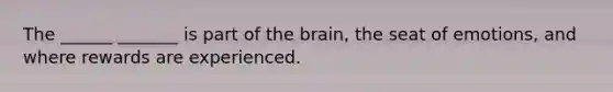 The ______ _______ is part of the brain, the seat of emotions, and where rewards are experienced.