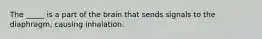 The _____ is a part of the brain that sends signals to the diaphragm, causing inhalation.