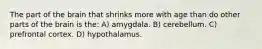 The part of the brain that shrinks more with age than do other parts of the brain is the: A) amygdala. B) cerebellum. C) prefrontal cortex. D) hypothalamus.