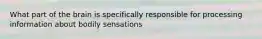 What part of the brain is specifically responsible for processing information about bodily sensations