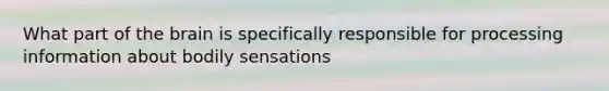 What part of the brain is specifically responsible for processing information about bodily sensations