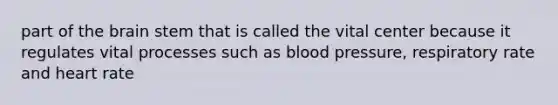 part of the brain stem that is called the vital center because it regulates vital processes such as blood pressure, respiratory rate and heart rate