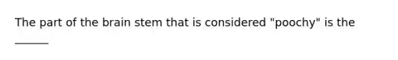 The part of the brain stem that is considered "poochy" is the ______