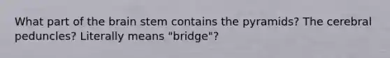 What part of <a href='https://www.questionai.com/knowledge/kLMtJeqKp6-the-brain' class='anchor-knowledge'>the brain</a> stem contains the pyramids? The cerebral peduncles? Literally means "bridge"?