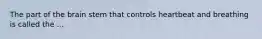 The part of the brain stem that controls heartbeat and breathing is called the ...