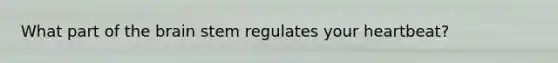 What part of the brain stem regulates your heartbeat?
