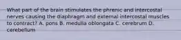 What part of the brain stimulates the phrenic and intercostal nerves causing the diaphragm and external intercostal muscles to contract? A. pons B. medulla oblongata C. cerebrum D. cerebellum