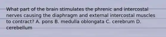 What part of the brain stimulates the phrenic and intercostal nerves causing the diaphragm and external intercostal muscles to contract? A. pons B. medulla oblongata C. cerebrum D. cerebellum