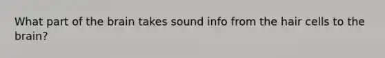 What part of the brain takes sound info from the hair cells to the brain?