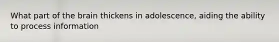 What part of the brain thickens in adolescence, aiding the ability to process information