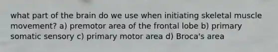 what part of the brain do we use when initiating skeletal muscle movement? a) premotor area of the frontal lobe b) primary somatic sensory c) primary motor area d) Broca's area