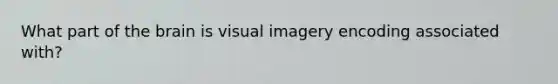 What part of <a href='https://www.questionai.com/knowledge/kLMtJeqKp6-the-brain' class='anchor-knowledge'>the brain</a> is visual imagery encoding associated with?