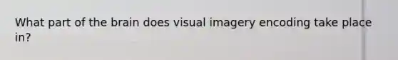 What part of the brain does visual imagery encoding take place in?