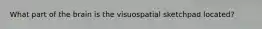 What part of the brain is the visuospatial sketchpad located?