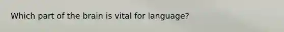 Which part of the brain is vital for language?