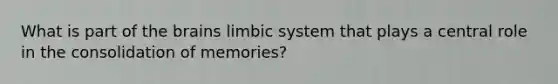 What is part of the brains limbic system that plays a central role in the consolidation of memories?