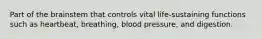 Part of the brainstem that controls vital life-sustaining functions such as heartbeat, breathing, blood pressure, and digestion.