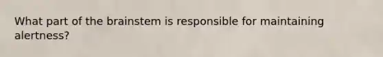 What part of the brainstem is responsible for maintaining alertness?