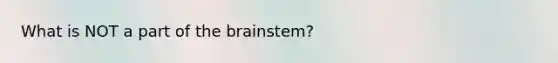 What is NOT a part of <a href='https://www.questionai.com/knowledge/kLMtJeqKp6-the-brain' class='anchor-knowledge'>the brain</a>stem?