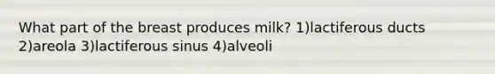 What part of the breast produces milk? 1)lactiferous ducts 2)areola 3)lactiferous sinus 4)alveoli