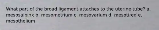 What part of the broad ligament attaches to the uterine tube? a. mesosalpinx b. mesometrium c. mesovarium d. mesotired e. mesothelium