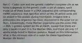 Part C - Codon size and the genetic codePart complete Life as we know it depends on the genetic code: a set of codons, each made up of three bases in a DNA sequence and corresponding mRNA sequence, that specifies which of the 20 amino acids will be added to the protein during translation. Imagine that a prokaryote-like organism has been discovered in the polar ice on Mars. Interestingly, these Martian organisms use the same DNA → RNA → protein system as life on Earth, except that there are only 2 bases (A and T) in the Martian DNA, and there are only 17 amino acids found in Martian proteins. Based on this information, what is the minimum size of a codon for these hypothetical Martian life-forms?