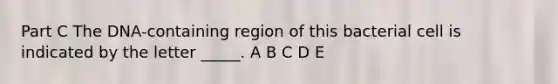 Part C The DNA-containing region of this bacterial cell is indicated by the letter _____. A B C D E