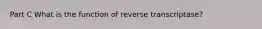 Part C What is the function of reverse transcriptase?