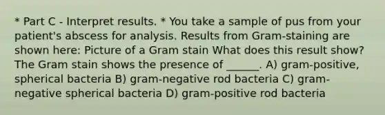 * Part C - Interpret results. * You take a sample of pus from your patient's abscess for analysis. Results from Gram-staining are shown here: Picture of a Gram stain What does this result show? The Gram stain shows the presence of ______. A) gram-positive, spherical bacteria B) gram-negative rod bacteria C) gram-negative spherical bacteria D) gram-positive rod bacteria