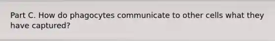 Part C. How do phagocytes communicate to other cells what they have captured?