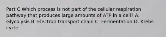 Part C Which process is not part of the cellular respiration pathway that produces large amounts of ATP in a cell? A. Glycolysis B. Electron transport chain C. Fermentation D. <a href='https://www.questionai.com/knowledge/kqfW58SNl2-krebs-cycle' class='anchor-knowledge'>krebs cycle</a>