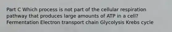 Part C Which process is not part of the cellular respiration pathway that produces large amounts of ATP in a cell? Fermentation Electron transport chain Glycolysis Krebs cycle