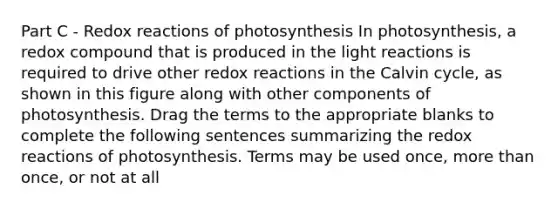 Part C - Redox reactions of photosynthesis In photosynthesis, a redox compound that is produced in the <a href='https://www.questionai.com/knowledge/kSUoWrrvoC-light-reactions' class='anchor-knowledge'>light reactions</a> is required to drive other redox reactions in the Calvin cycle, as shown in this figure along with other components of photosynthesis. Drag the terms to the appropriate blanks to complete the following sentences summarizing the redox reactions of photosynthesis. Terms may be used once, <a href='https://www.questionai.com/knowledge/keWHlEPx42-more-than' class='anchor-knowledge'>more than</a> once, or not at all