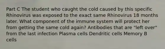 Part C The student who caught the cold caused by this specific Rhinovirus was exposed to the exact same Rhinovirus 18 months later. What component of the immune system will protect her from getting the same cold again? Antibodies that are "left over" from the last infection Plasma cells Dendritic cells Memory B cells