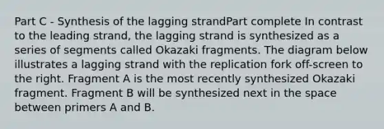 Part C - Synthesis of the lagging strandPart complete In contrast to the leading strand, the lagging strand is synthesized as a series of segments called Okazaki fragments. The diagram below illustrates a lagging strand with the replication fork off-screen to the right. Fragment A is the most recently synthesized Okazaki fragment. Fragment B will be synthesized next in <a href='https://www.questionai.com/knowledge/k0Lyloclid-the-space' class='anchor-knowledge'>the space</a> between primers A and B.