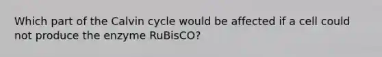 Which part of the Calvin cycle would be affected if a cell could not produce the enzyme RuBisCO?