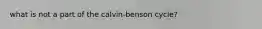 what is not a part of the calvin-benson cycle?