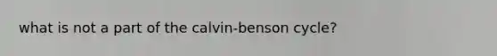 what is not a part of the calvin-benson cycle?